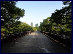 Yoyogi Park 18